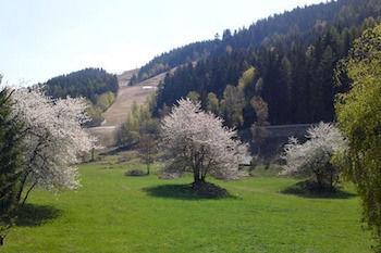 Hotel Chalet Carlinouf
