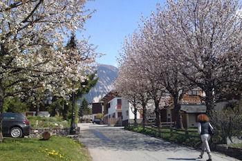 Chalet Carlinouf